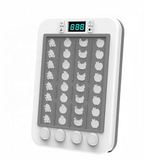 FruitBeat – Jeu de Rythme Électronique pour Enfants