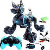 SpeedDog : Le chien robot interactif adoré des petits et grands