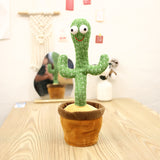 Alejandro : Cactus Dansant